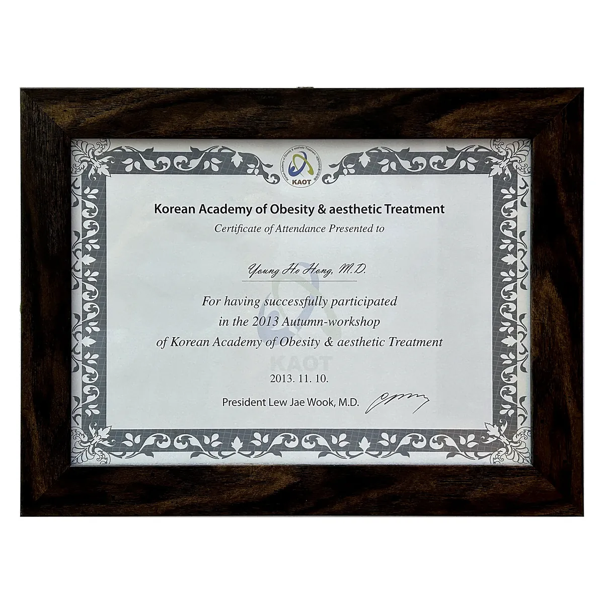 KAOT 2013 workshop attendance certificate, Dr. Hong Yeong-ho